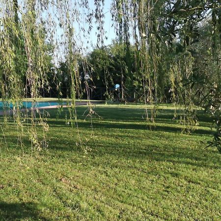 Residenza Il Platano Fortilizio Di Campiglia Rapolano Terme Zewnętrze zdjęcie