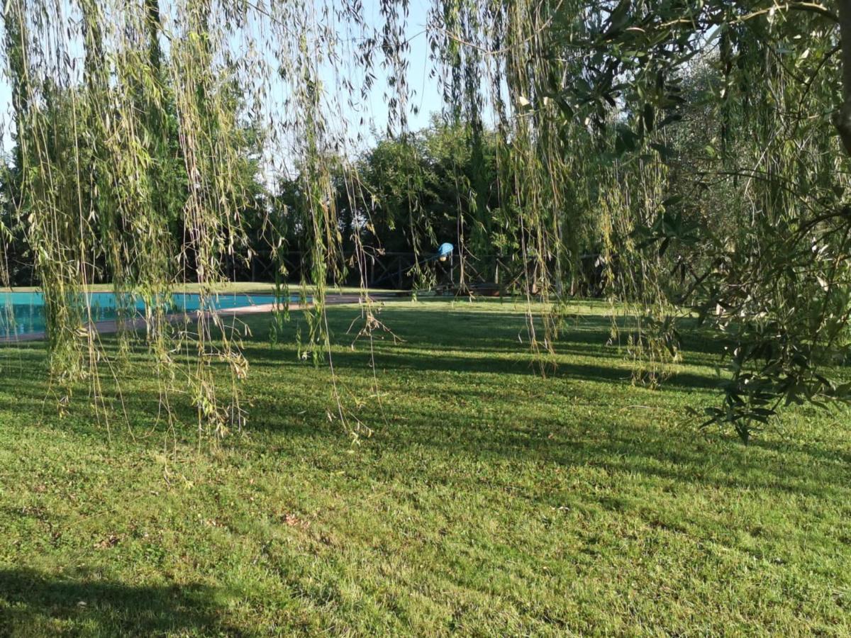 Residenza Il Platano Fortilizio Di Campiglia Rapolano Terme Zewnętrze zdjęcie