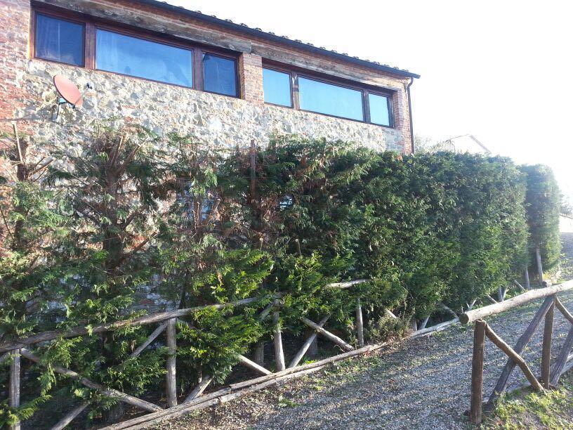 Residenza Il Platano Fortilizio Di Campiglia Rapolano Terme Zewnętrze zdjęcie